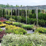 Garden Centre