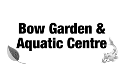 bow