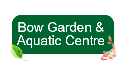 logo-bow